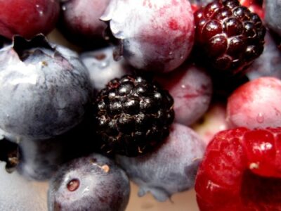 Photo of the Week: Berry Good Image